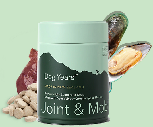 Dog Years - Natural Joint + Mobility Supplement for Dogs