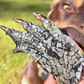 Got Crocs - Crocodile Feet
