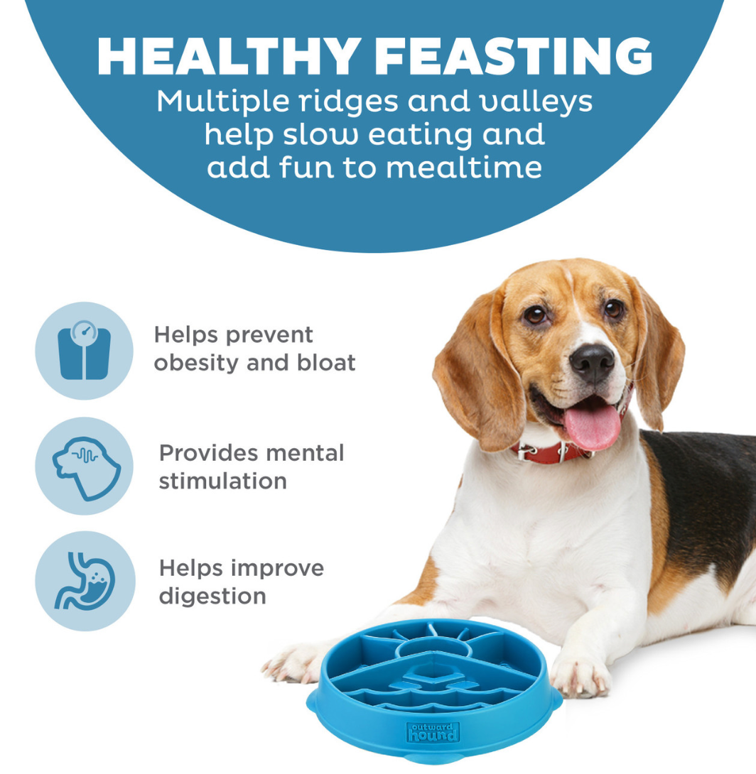 Fun Feeder Slow Dog Bowls - Outward Hound