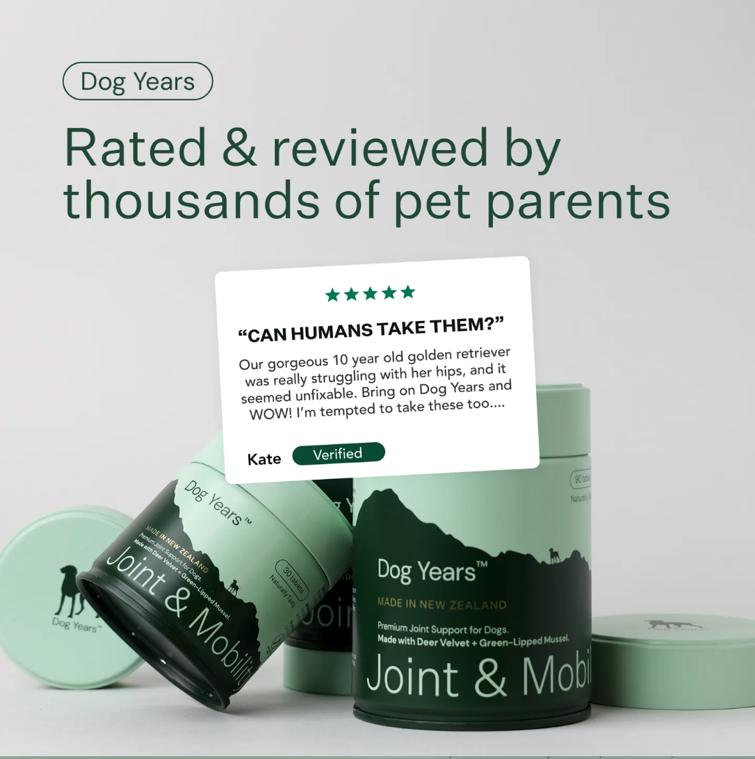 Dog Years - Natural Joint + Mobility Supplement for Dogs