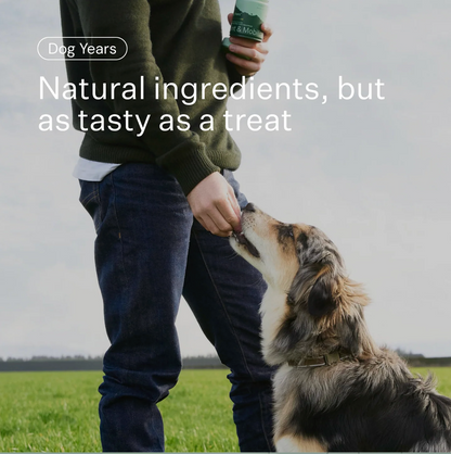 Dog Years - Natural Joint + Mobility Supplement for Dogs