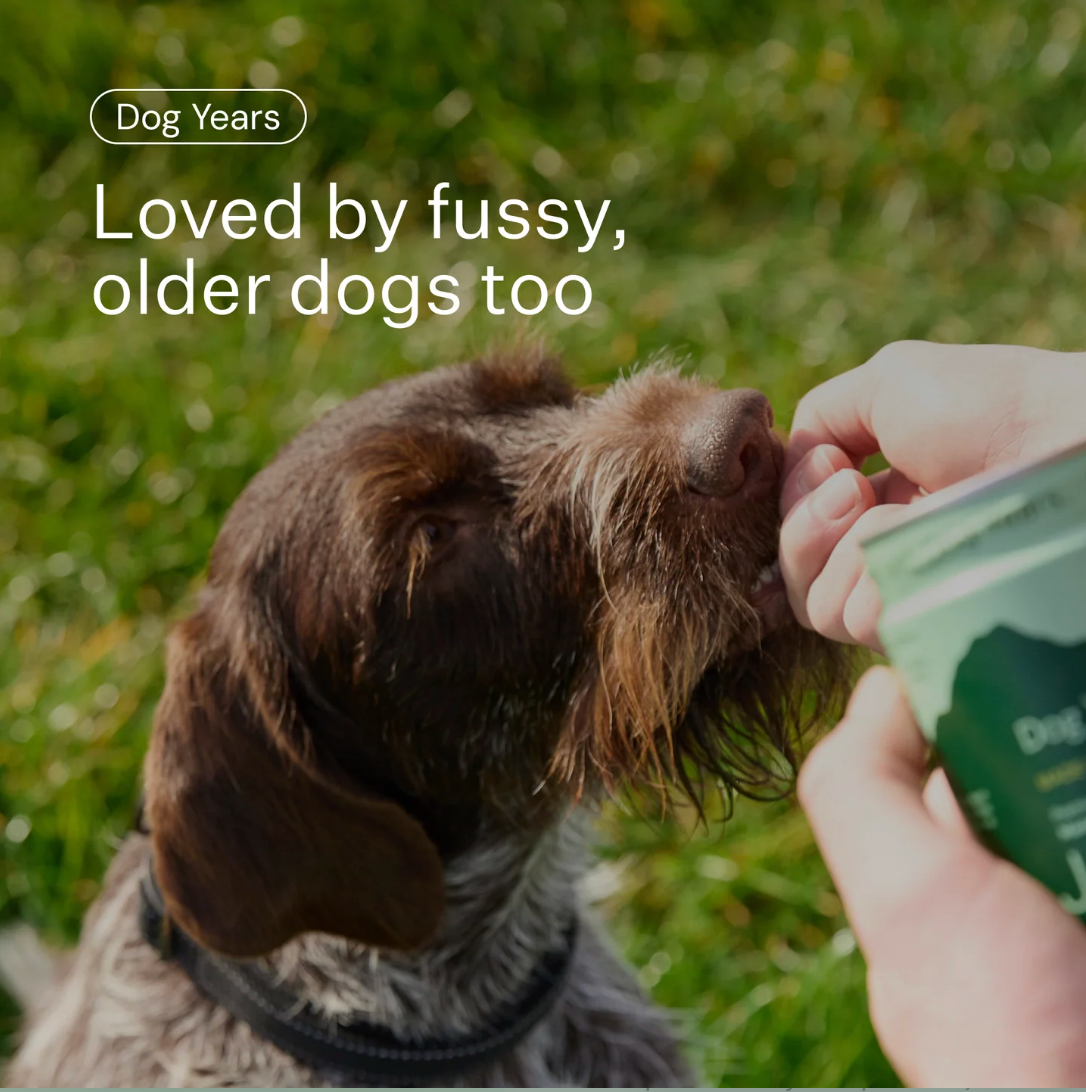 Dog Years - Natural Joint + Mobility Supplement for Dogs