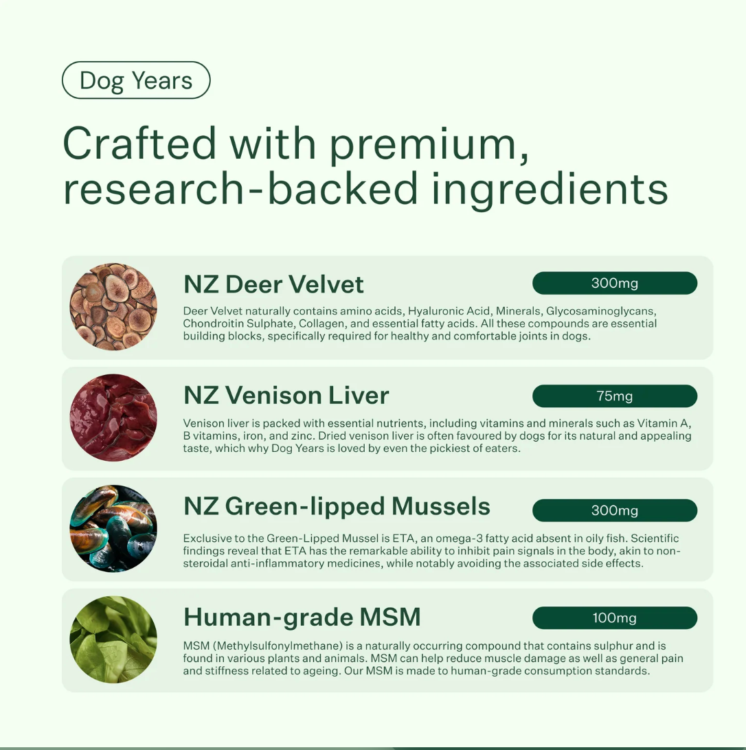 Dog Years - Natural Joint + Mobility Supplement for Dogs