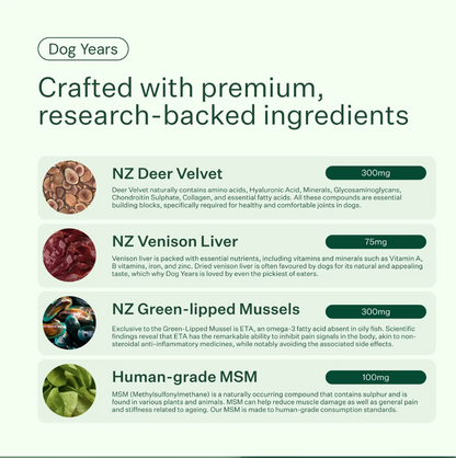 Dog Years - Natural Joint + Mobility Supplement for Dogs
