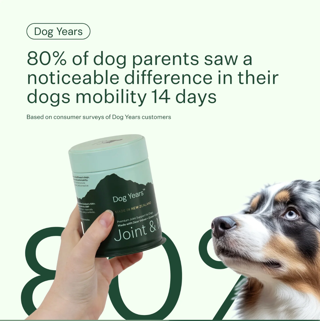 Dog Years - Natural Joint + Mobility Supplement for Dogs