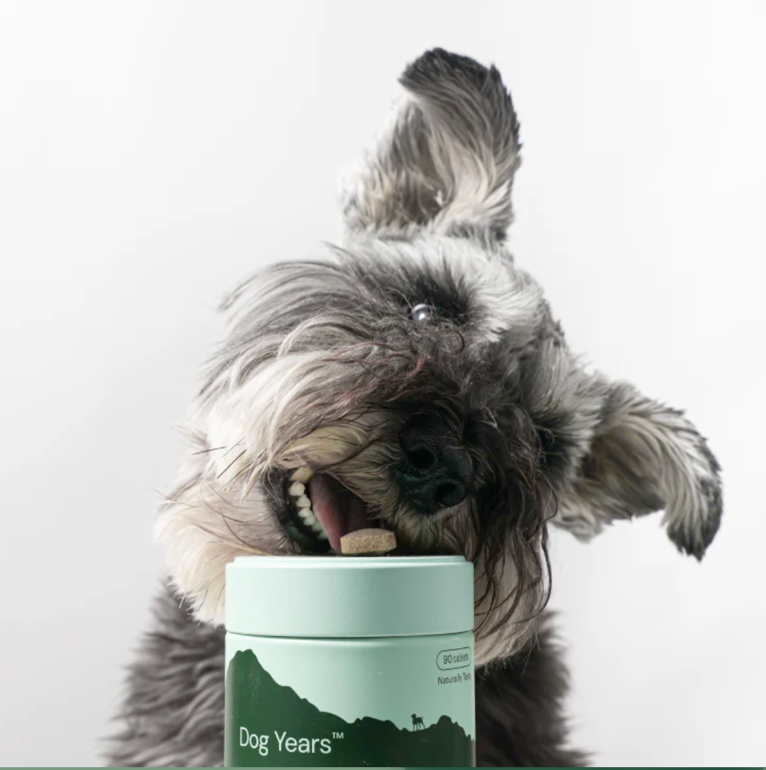 Dog Years - Natural Joint + Mobility Supplement for Dogs