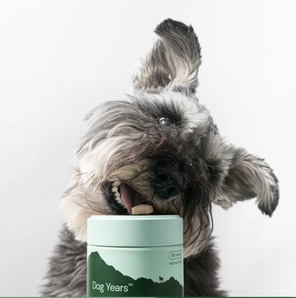 Dog Years - Natural Joint + Mobility Supplement for Dogs