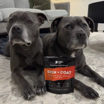 Skin & Coat Dog Supplement | Happy Staffy Co
