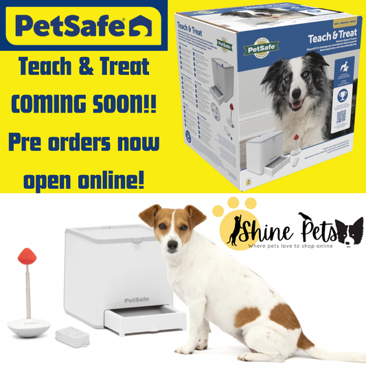 PetSafe Teach & Treat Remote Reward Trainer **PRE ORDER SALES**