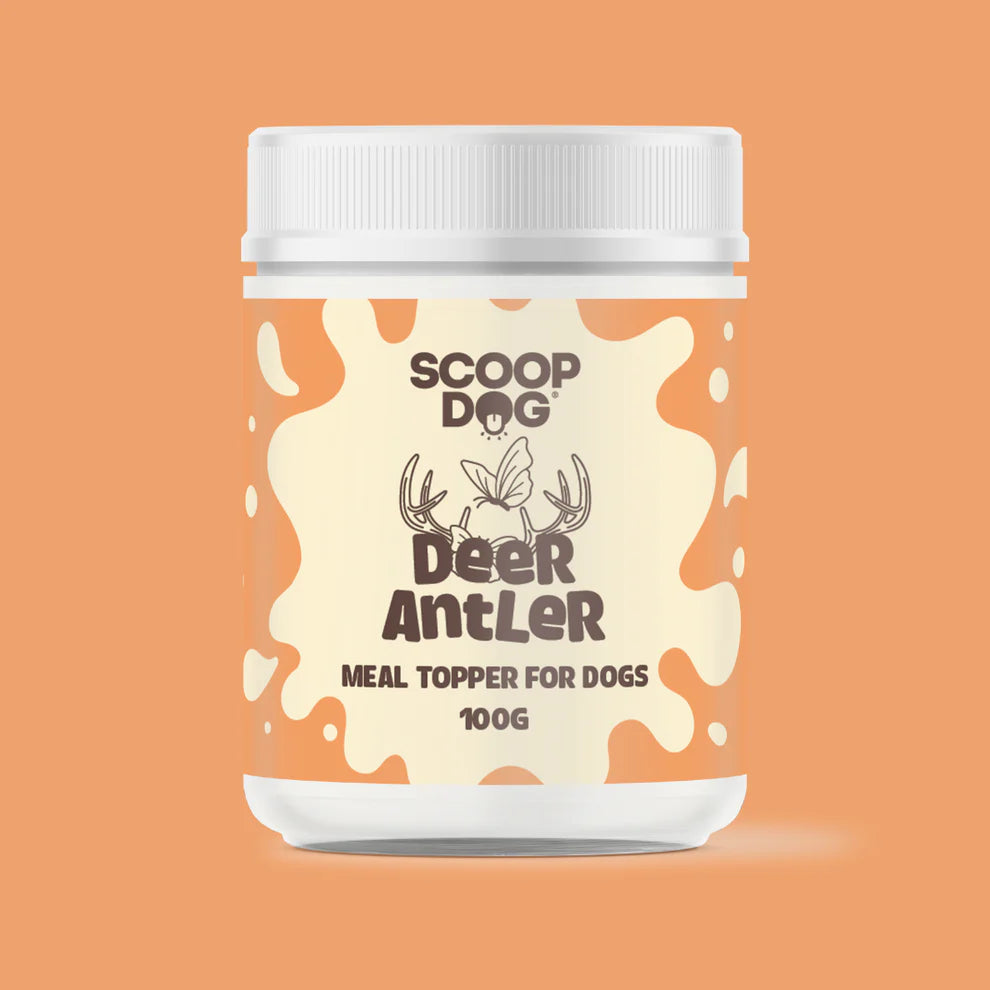 Scoop Dog Deer Antler Topper