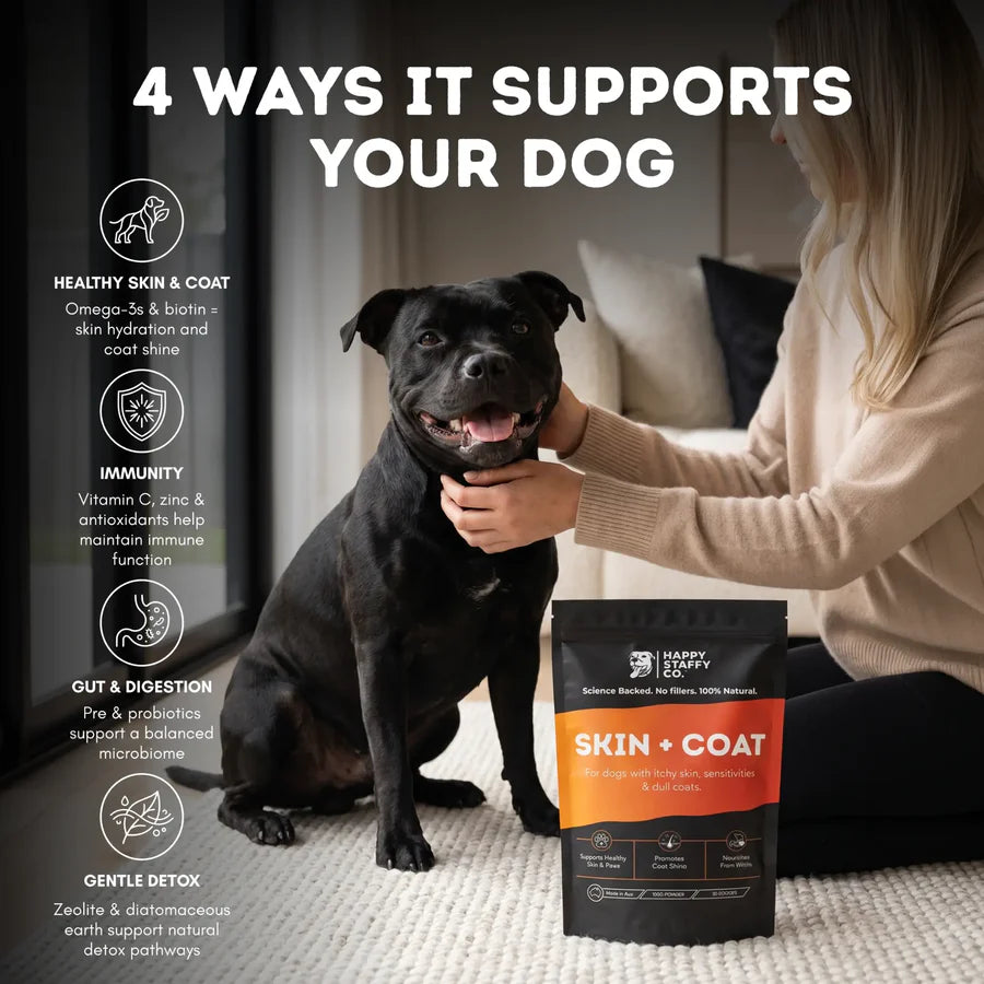 Skin & Coat Dog Supplement | Happy Staffy Co