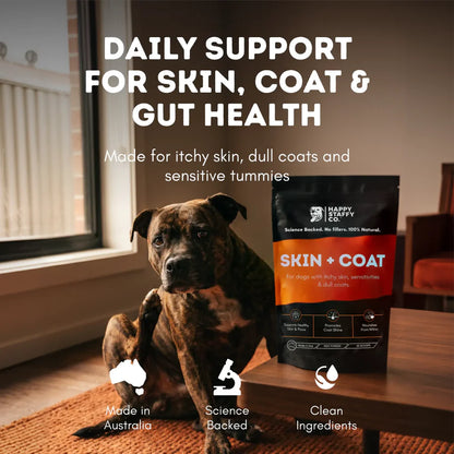 Skin & Coat Dog Supplement | Happy Staffy Co