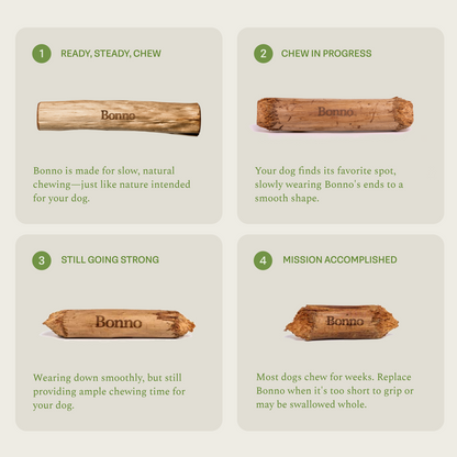 BONNO - The Mānuka Chew for Dogs