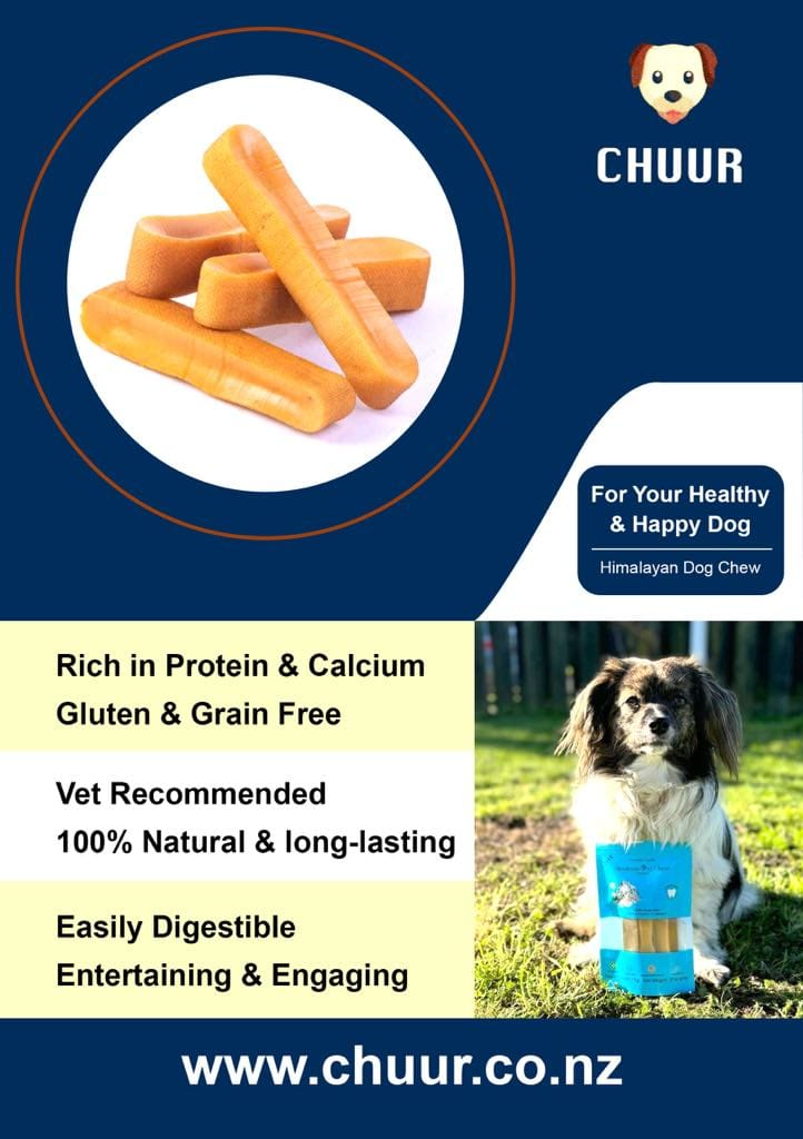 Chuur Himalayan Dog Chew – Natural Yak Milk Chew for Dogs