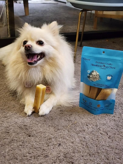 Chuur Himalayan Dog Chew – Natural Yak Milk Chew for Dogs