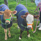 BioThane CALF Halter (custom made & waterproof)