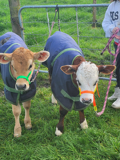 BioThane CALF Halter (custom made & waterproof)