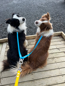 BioThane Double Lead Adapter