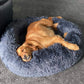 Calming Pet Bed *SPECIAL ORDER PRODUCT*