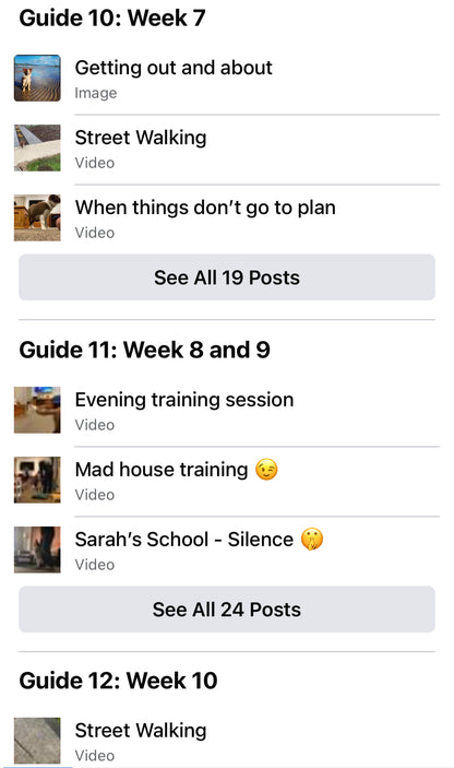 Life Skills – Online Dog Training Course