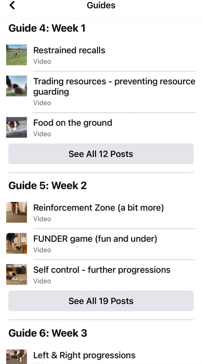 Life Skills – Online Dog Training Course