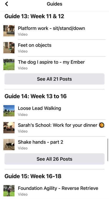 Life Skills – Online Dog Training Course