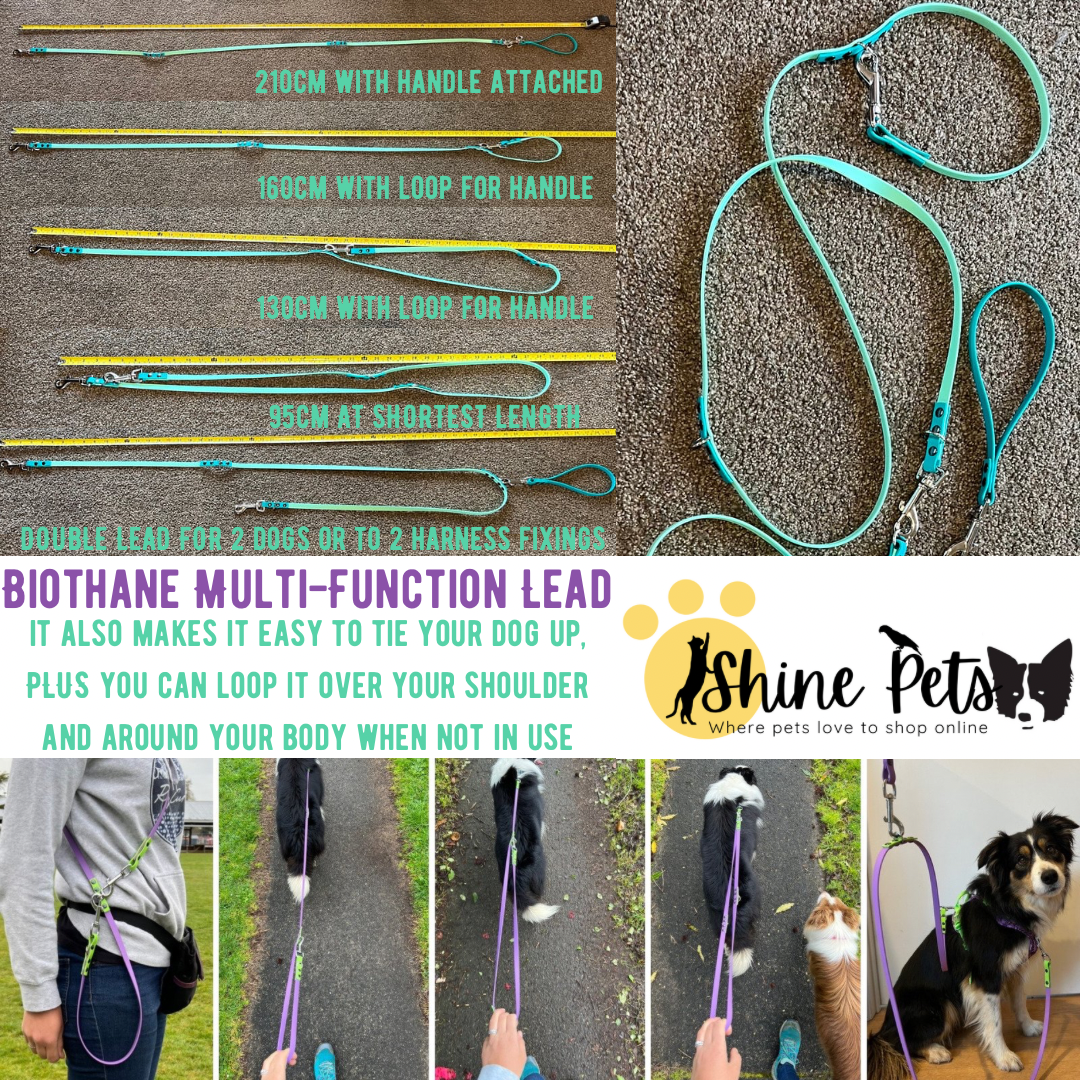 BioThane Multi Function Dog Lead