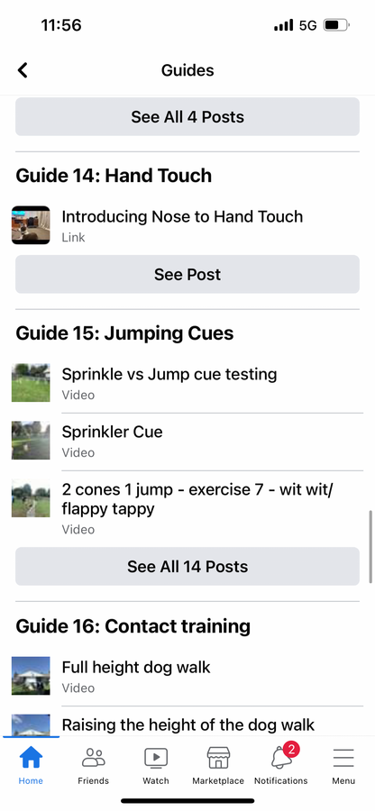 ONLINE TRAINING: Foundation Agility & Tricks