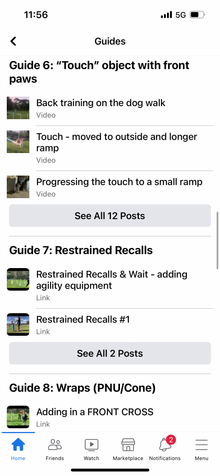 Foundation Agility & Tricks – Online Dog Training Course