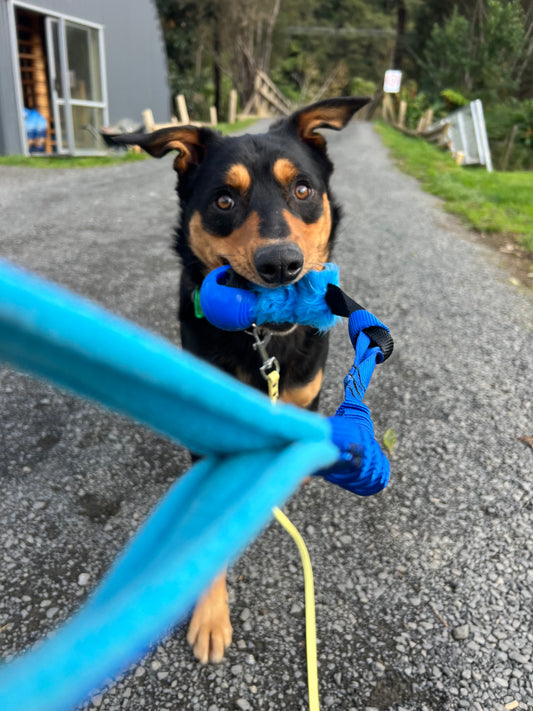 Fluffy ball tug attachments (for bungee handles)