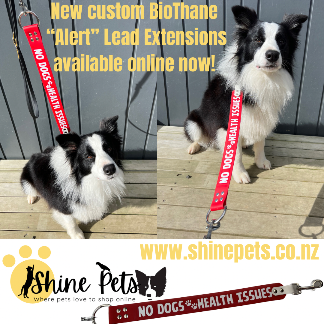 BioThane "Alert" Short Dog Lead Extension