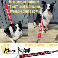 BioThane "Alert" Short Dog Lead Extension-Accessories-Shine Canine-19mm Wide/35cm Long-Shine Pets