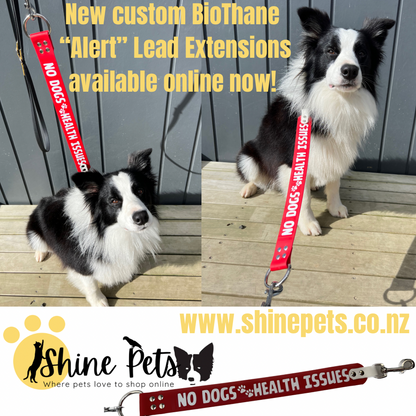 BioThane "Alert" Short Dog Lead Extension-Accessories-Shine Canine-19mm Wide/35cm Long-Shine Pets