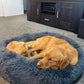 Calming Pet Bed *SPECIAL ORDER PRODUCT*