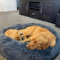 Calming Pet Bed *SPECIAL ORDER PRODUCT*-Brooklands-Cream-XS 50cm-Shine Pets