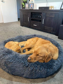 Calming Pet Bed *SPECIAL ORDER PRODUCT*-Brooklands-Cream-XS 50cm-Shine Pets