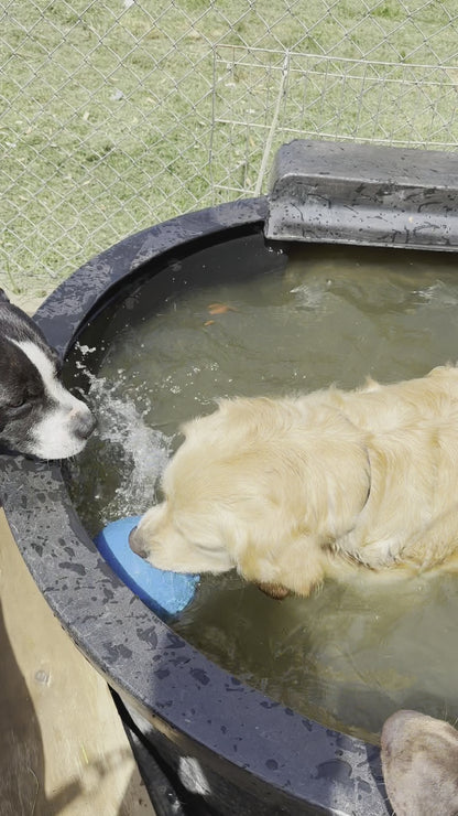 Boomer Ball - Puncture Proof Dog Toy
