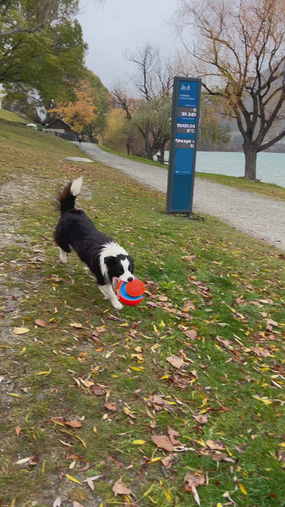 Kick Fetch Ball