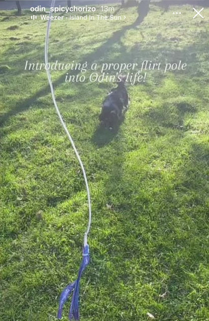 Dog Flirt Pole V2 (Squishy Face Studio)