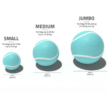 Playology Squeaky Chew Ball
