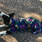 Dog Raincoat - Scribbler Pets "Paradiso"