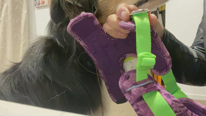 Adjustable Dog Harness - True Love
