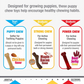 Nylabone Puppy Stages Triple Pack