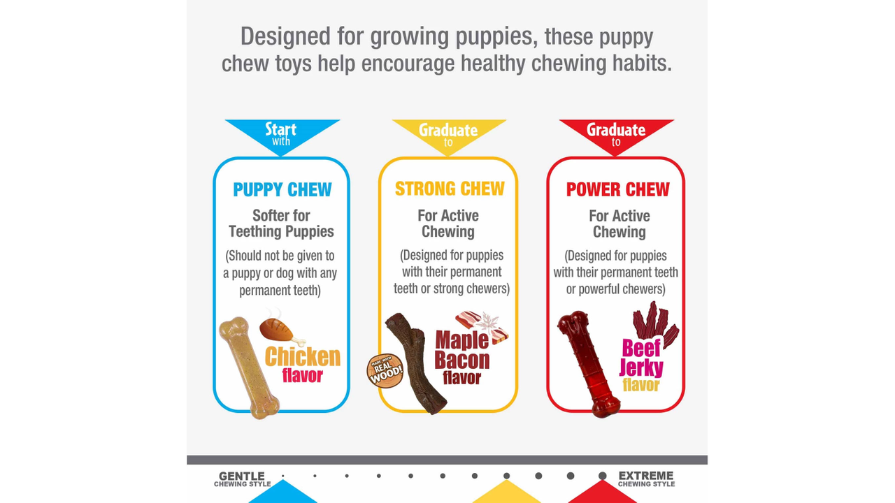 Nylabone Puppy Stages Triple Pack