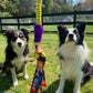 Squishy Face Flirt Pole Lure or Bungee Tug Attachment-Toy-Squishy Face Studio-Rainbow - Squeaker-Shine Pets
