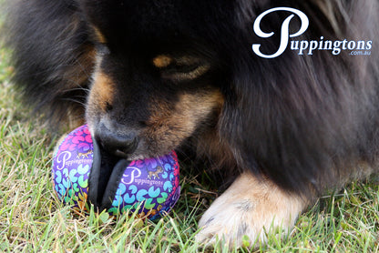 Puppingtons Pods - Food Training Toy