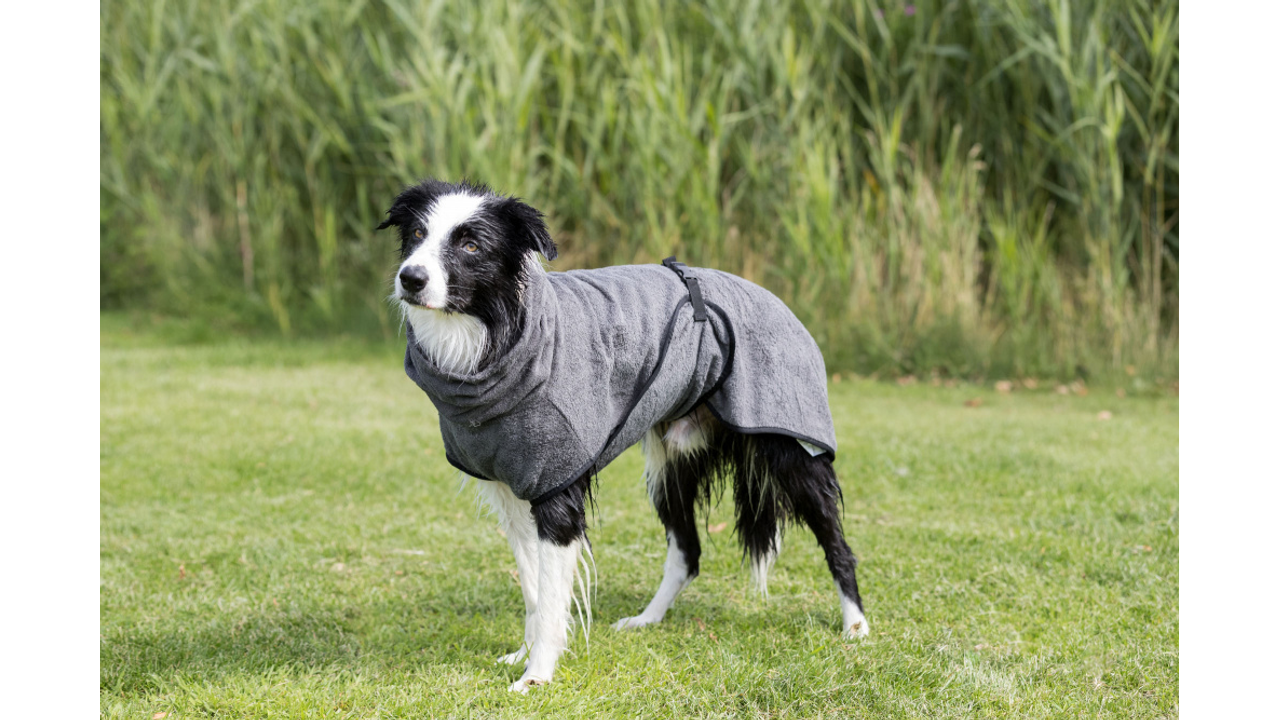 Bathrobe for dogs - Grey