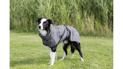 Bathrobe for dogs - Grey