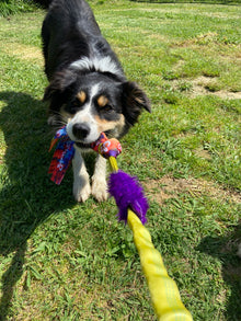 Squishy Face Flirt Pole Lure or Bungee Tug Attachment