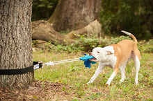 SUPER TUG - Dog exercise toy from Squishy Face Studio-Toy-Squishy Face Studio-Purple/Blue Tie Die-Shine Pets